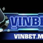 Vin betme profile picture