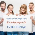 lun un Profile Picture