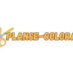 Planse Colorat Profile Picture