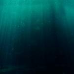 vikram singh Profile Picture