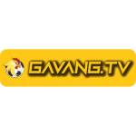 gavang tvfun Profile Picture