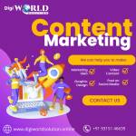 digiworld solution Profile Picture