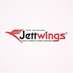 Jett wings Profile Picture