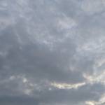 Kim Lee Profile Picture