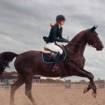 Horse Menage Installation LTD Profile Picture