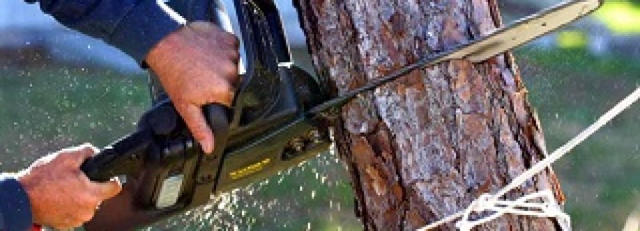 Tree Service inVenice Cover Image