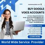 Buy Google Voice Accounts Profile Picture