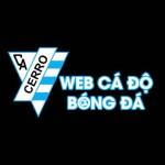 Web Cá Độ Profile Picture