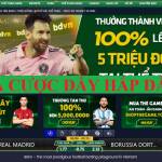 crimson squareorg Profile Picture