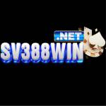 SV388 Win Profile Picture