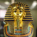 Mahmoud Amar Profile Picture