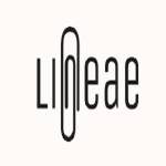 Lineae co Profile Picture