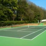 Tennis Court Maintenance UK Limited profile picture