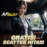 AFSLOT Profile Picture