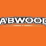 DABWOODS DISPOSABLE UK Profile Picture