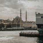 ali zaydan Profile Picture