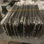 homo hono holi Profile Picture