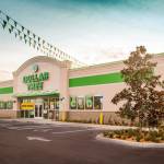 Dollar Tree Compass Mobile Profile Picture