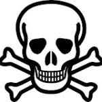 Barnever net Profile Picture