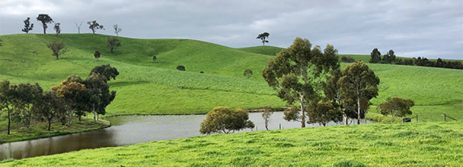 Core Environmental Projects Cover Image