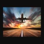 unpublished flight Profile Picture