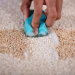 John Johns Profile Picture