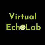 Virtual Echo Lab Profile Picture