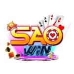 Saowin team Profile Picture