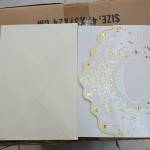 mula mule Profile Picture