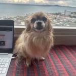 Nfcjfj Ncjdxjjf Profile Picture