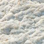 Spray Foam Removal Ltd Profile Picture