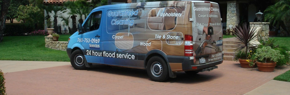Silver Olas Carpet Tile Flood Cleaning Cover Image