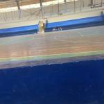 Jorge Hola Profile Picture