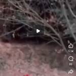 uljh jhj Profile Picture