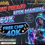 Raja Pools Profile Picture