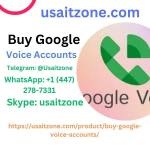 Buy Google Voice Accounts Profile Picture