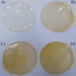 bbb bbb Profile Picture