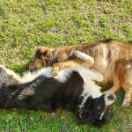 Samu Sba Profile Picture