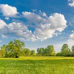 paresh shah003 Profile Picture