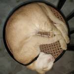 test123 test123 Profile Picture