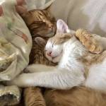 Bk Bk Profile Picture