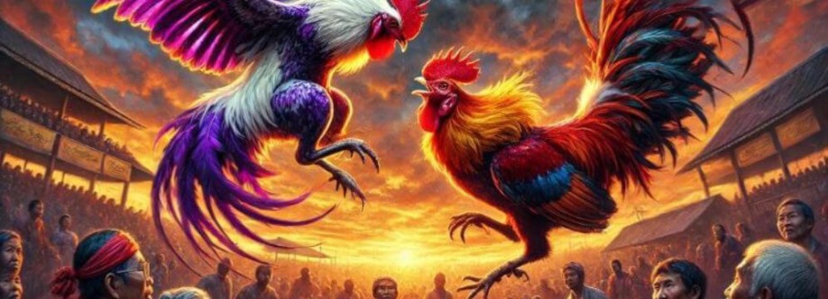 Trực Tiếp Đá Gà Cover Image