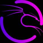 sonsoz name Profile Picture