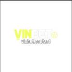 VinBet Casino Profile Picture