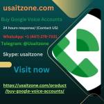 Buy Google Voice Accounts Profile Picture