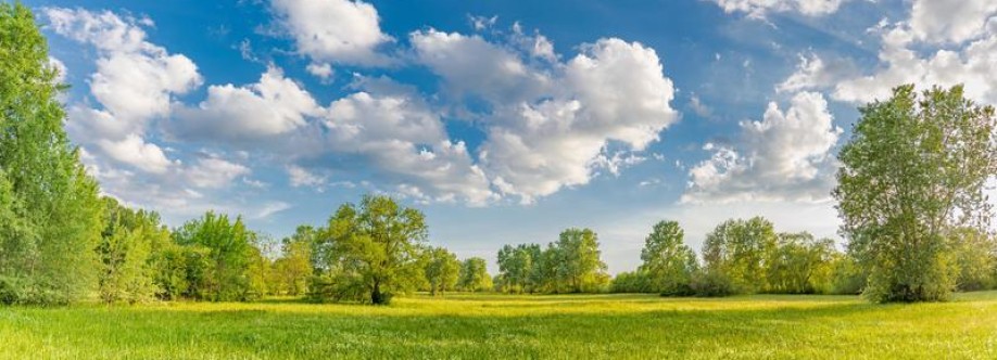 paresh shah003 Cover Image