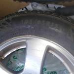 petter solberg Profile Picture