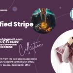 Buy verified Stripe account Profile Picture