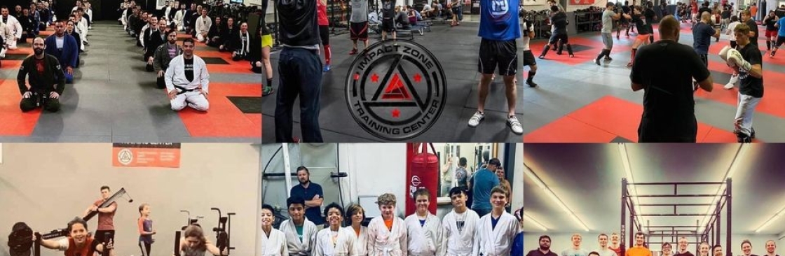 Impact Zone Cover Image