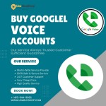 Buy Google Voice Accounts Profile Picture